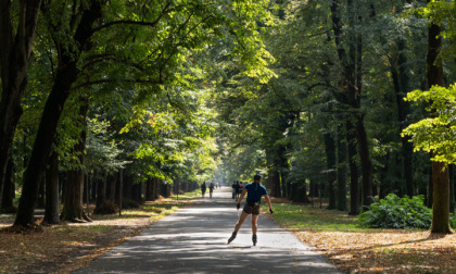 Atti sessuali nel Parco di Monza, sanzionati due anziani