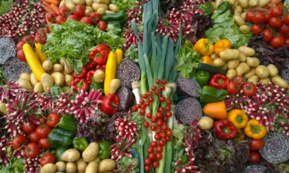 Stop agli sprechi, nasce la sinergia tra ATS e Banco Alimentare