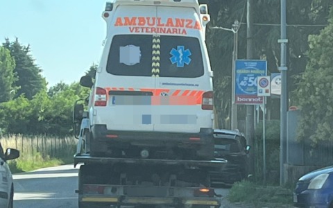 Ambulanza veterinaria senza assicurazione, fermata e sequestrata dalla Locale